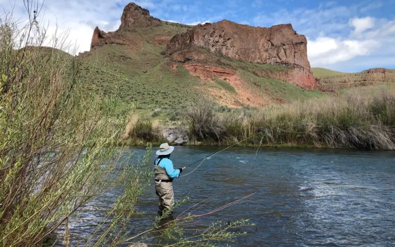 Fly Fishing the Owyhee River: A Brown Trout Paradise