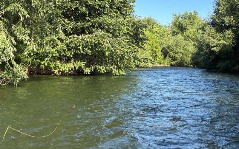 Boise River Fly Fishing
