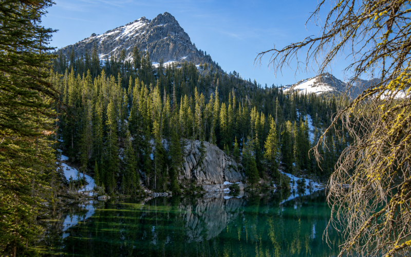 Snow-capped mountain rises behind a dense pine forest reflected in a clear alpine lake.