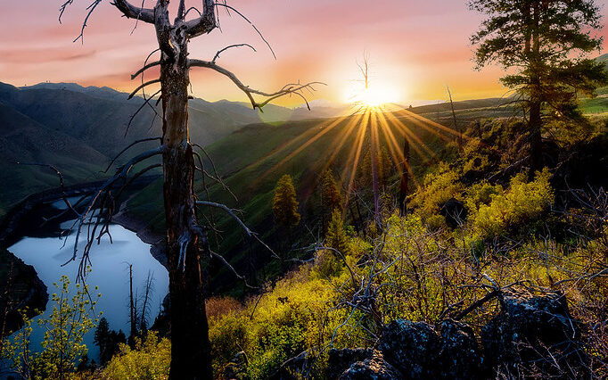 Sunrise above the South Fork Boise River with a bare tree in the foreground